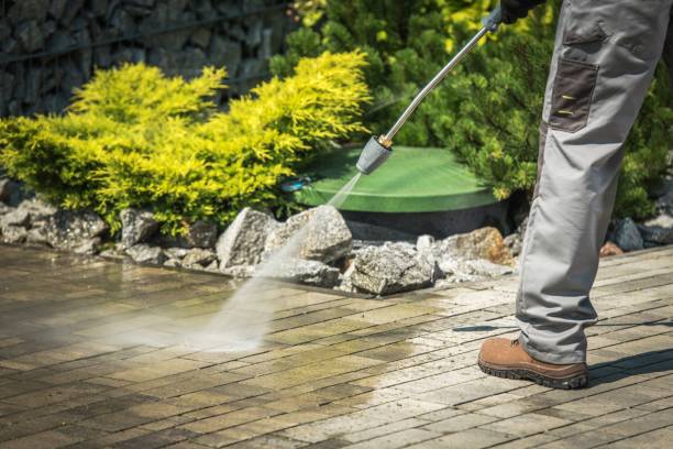 Best Roof Washing  in Cloverport, KY